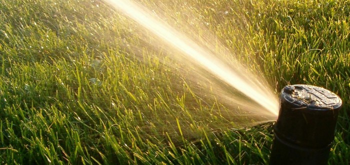 When is the best time to water your lawn?