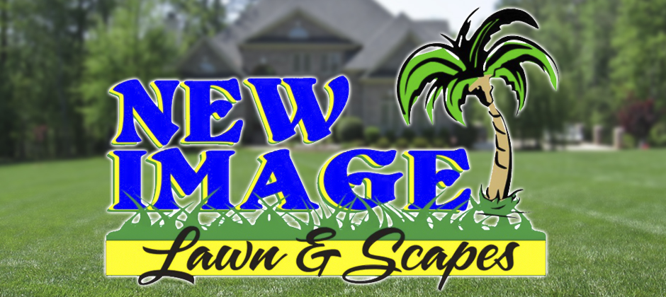 new_image_lawn_and_scapes_1