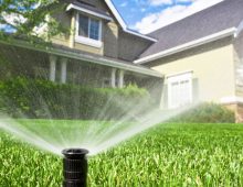 Avoid Overwatering your lawn