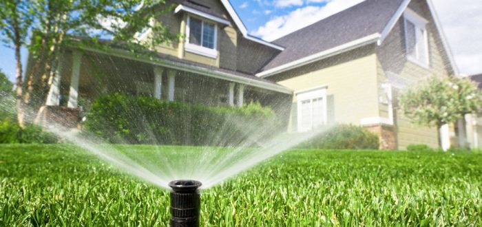 Avoid Overwatering your lawn